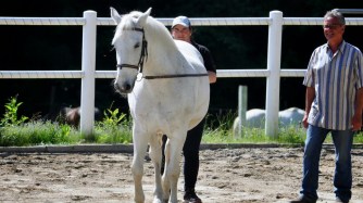 11393318_371551076368741_4978777085054380806_o