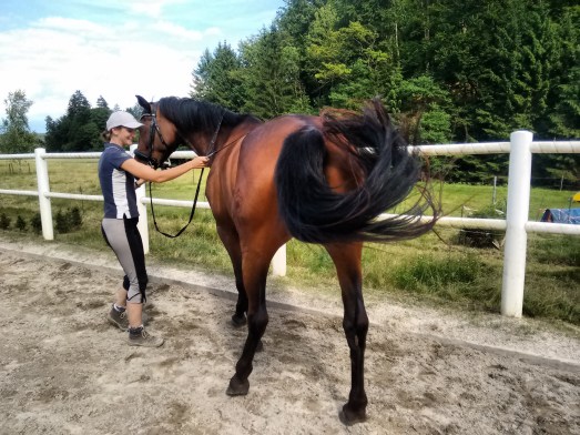 IMG_20160618_162216684