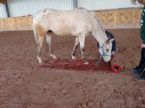 IMG_20160403_153936717 - Kopie