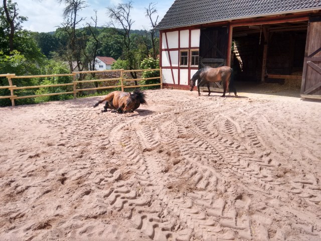 IMG_20160609_114803627_HDR