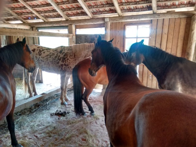 IMG_20160610_111501706_HDR