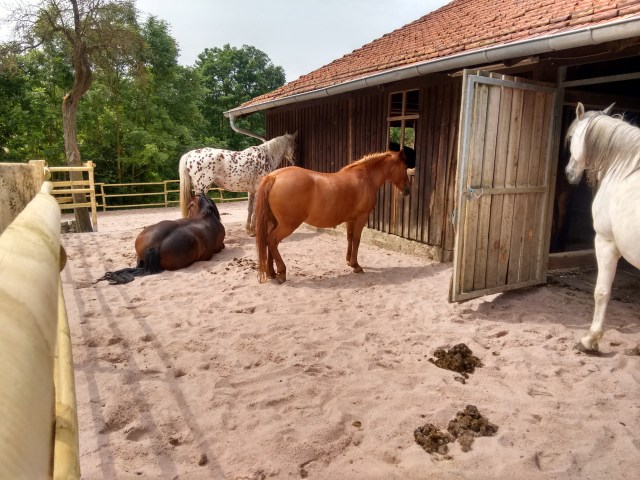 IMG_20160611_111510952_HDR