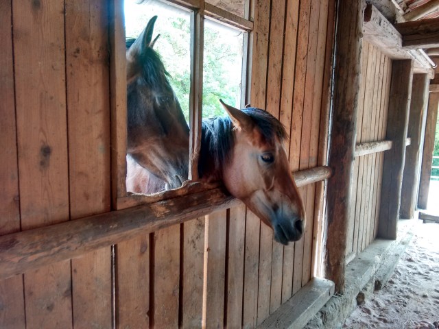 IMG_20160611_125915000_HDR