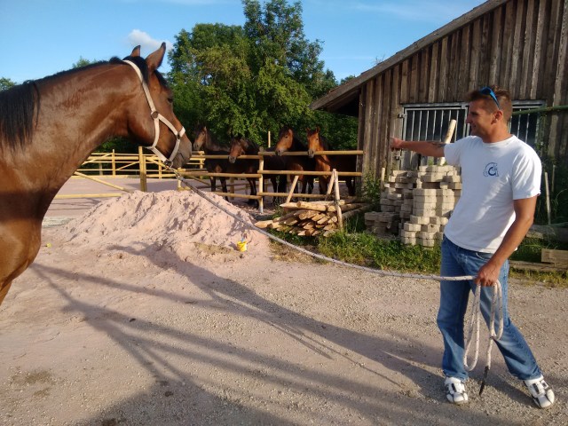 IMG_20160629_191008435