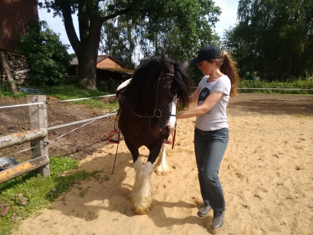 IMG_20160710_110958361