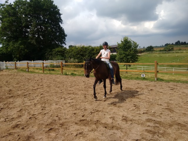 IMG_20160724_145736373