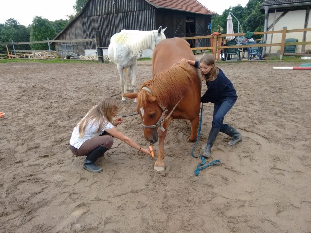 IMG_20160803_141708633