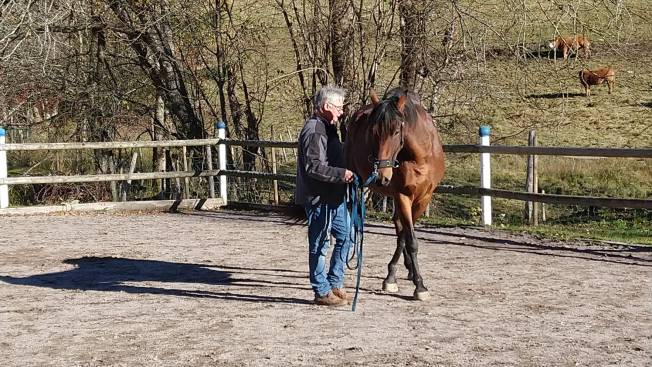 Handarbeit mit Lorenzo